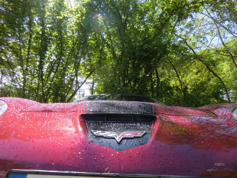 Bilder Christoph (72).JPG